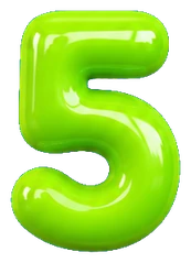 Paso 5